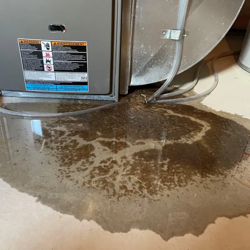 Appliance Leak Cleanup in Caswell County, NC